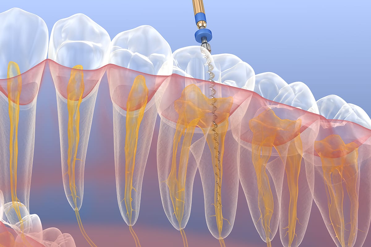 Cda Odontologia General03
